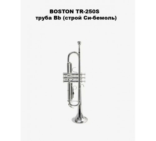 "Труба "Bb" BOSTON  TR-250S"